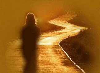 Message du Collectif – Restez sur le chemin